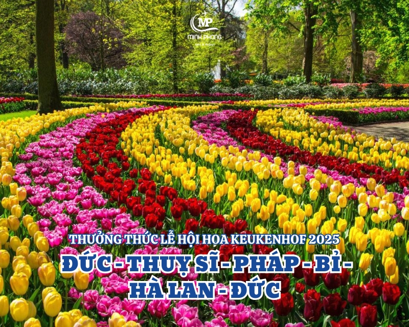 THƯỞNG THỨC LỄ HỘI HOA KEUKENHOF 2025  ĐỨC – THUỴ SĨ - PHÁP – BỈ -  HÀ LAN – ĐỨC  10N9Đ