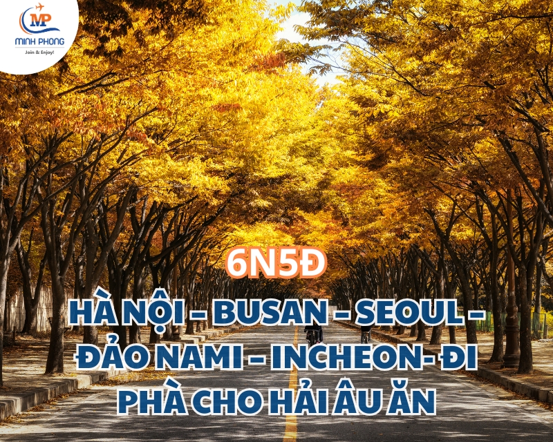 Du lịch HÀ NỘI – BUSAN – SEOUL – ĐẢO NAMI – INCHEON- ĐI PHÀ CHO HẢI ÂU ĂN 6N5Đ BAY VJ