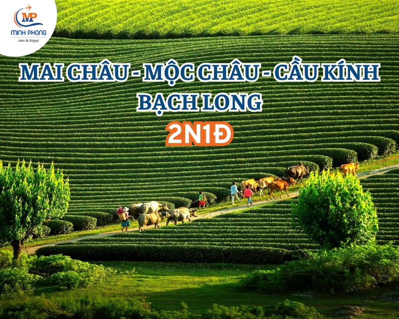DU LỊCH MAI CHÂU - MỘC CHÂU - CẦU KÍNH BẠCH LONG 2N1Đ
