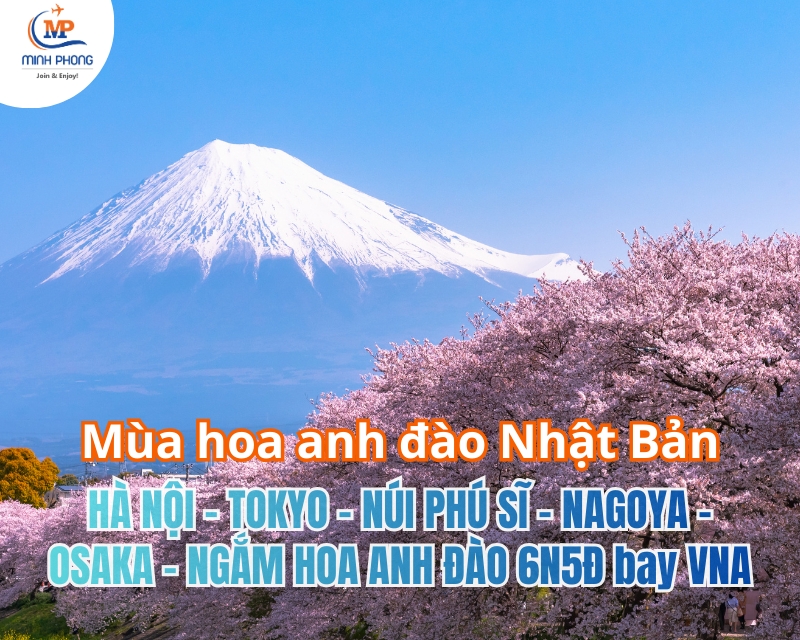 KHÁM PHÁ NHẬT BẢN MÙA HOA ANH ĐÀO 2026 HÀ NỘI – TOKYO – NÚI PHÚ SĨ – NAGOYA – OSAKA – NGẮM HOA ANH ĐÀO 6N5Đ bay VNA