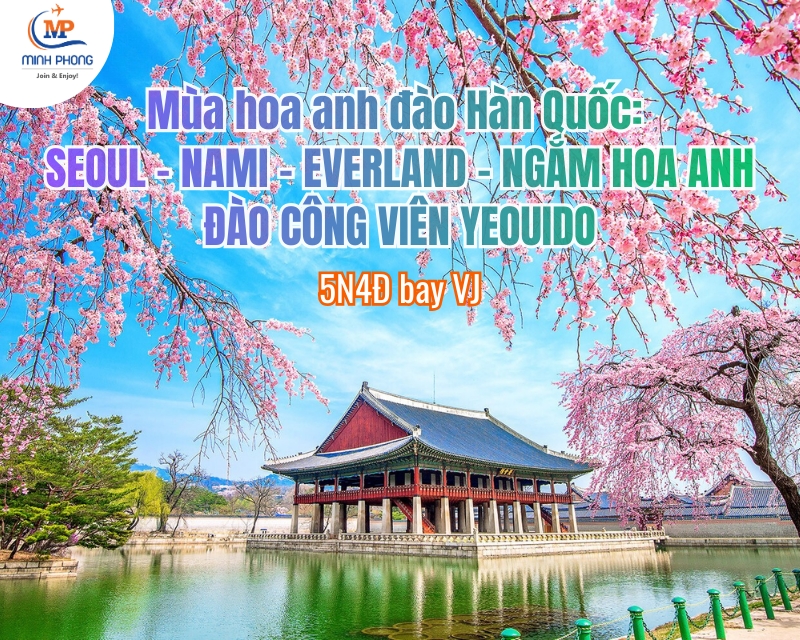 Mùa hoa anh đào Hàn Quốc: SEOUL – NAMI – EVERLAND - NGẮM HOA ANH ĐÀO CÔNG VIÊN YEOUIDO 5N4Đ bay VJ