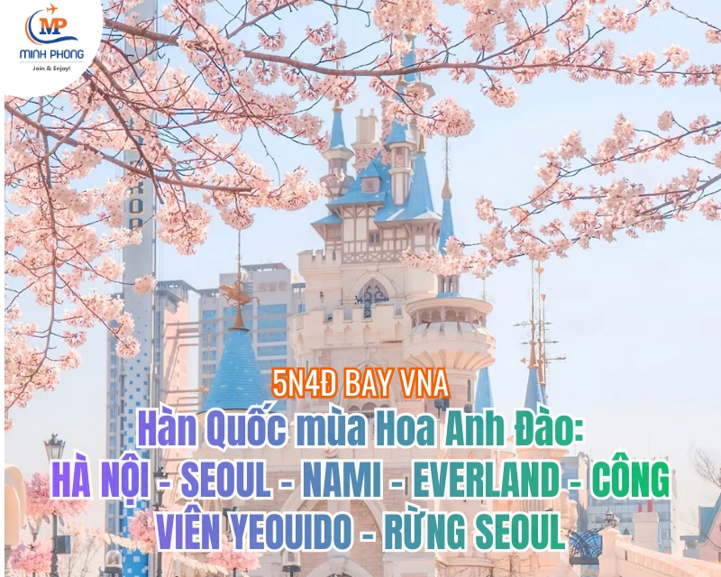 Hàn Quốc mùa Hoa Anh Đào: HÀ NỘI - SEOUL - NAMI - EVERLAND – CÔNG VIÊN YEOUIDO - RỪNG SEOUL 5N4Đ BAY VNA