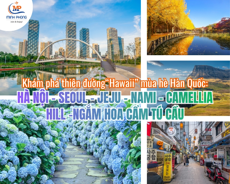 Khám phá thiên đường “Hawaii” mùa hè Hàn Quốc: HÀ NỘI – SEOUL – JEJU – NAMI – CAMELLIA HILL -NGẮM HOA CẨM TÚ CẦU 6N5Đ (7C)