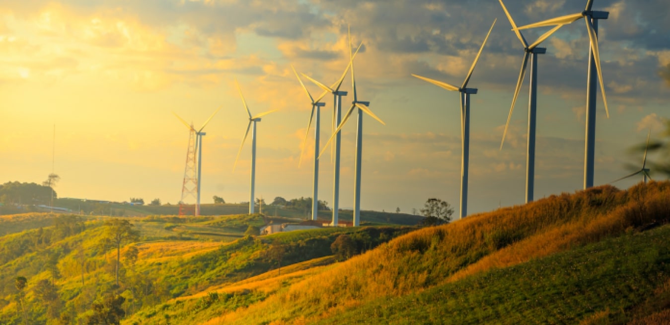 Cánh đồng quạt gió ở Cát Tiến