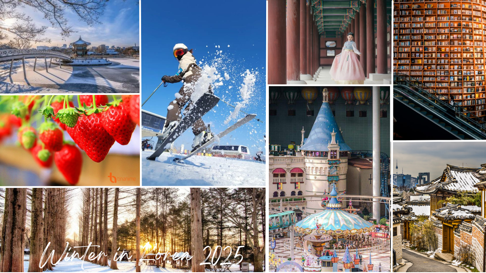 Mùa đông Hàn Quốc