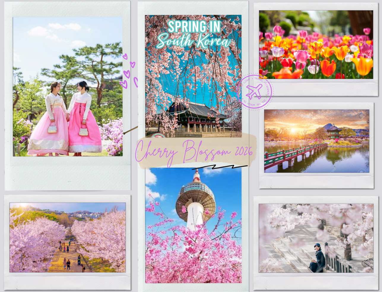 Tour Hàn Quốc mùa hoa anh đào