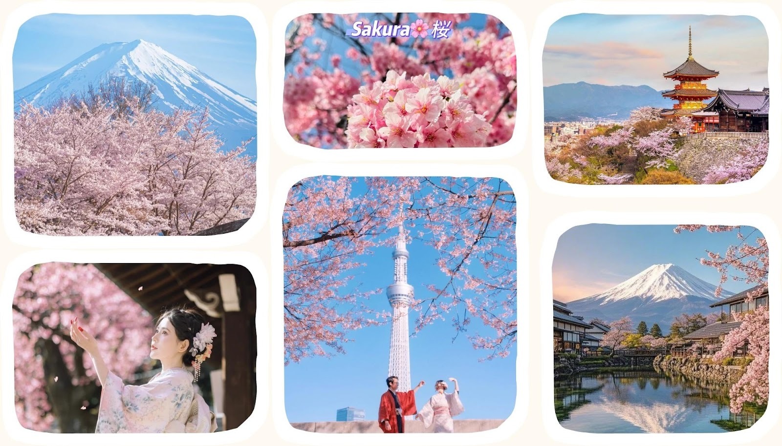 Khám phá Nhật Bản mùa hoa anh đào 2026