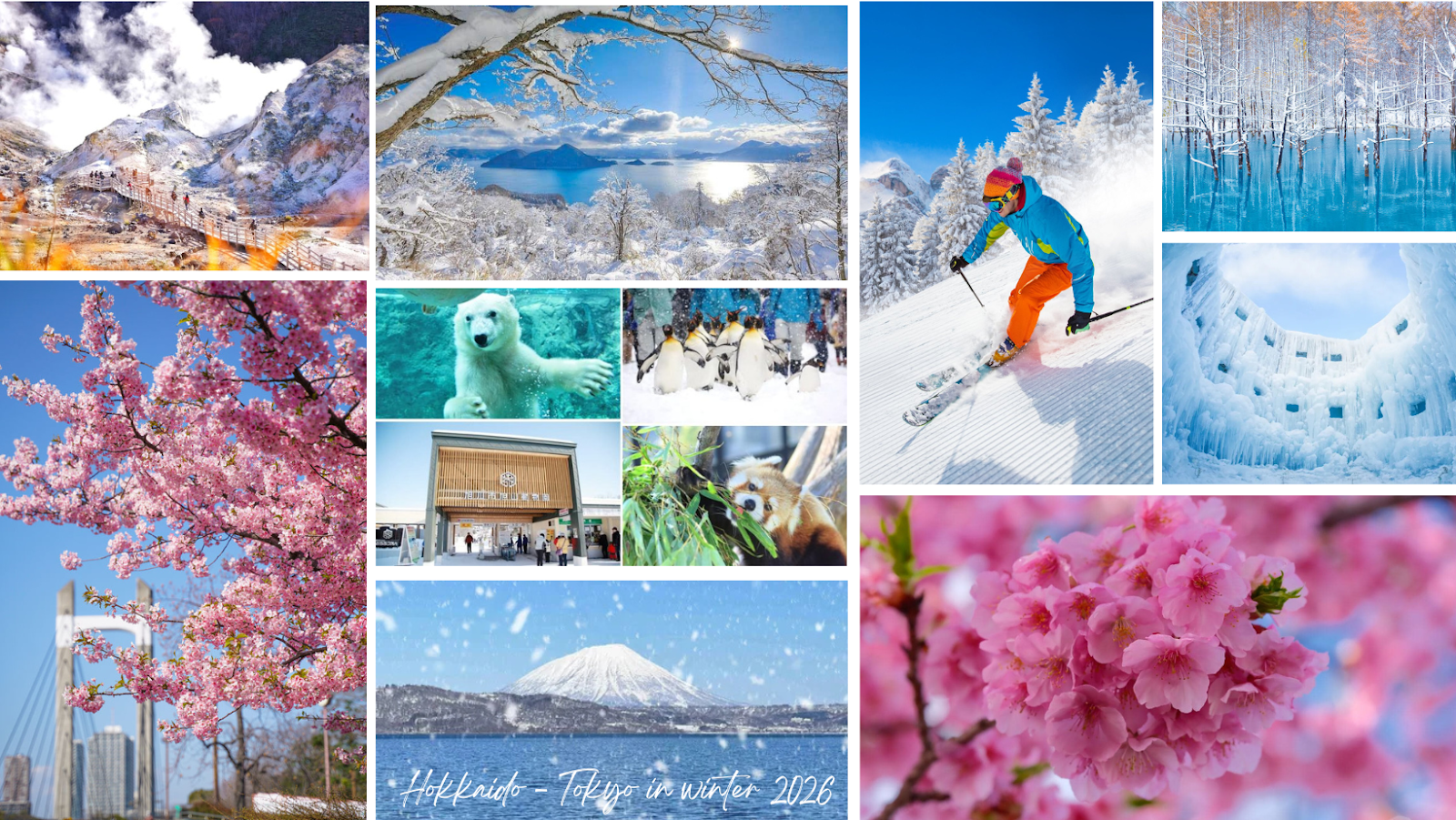 Hokkaido Nhật Bản mùa đông