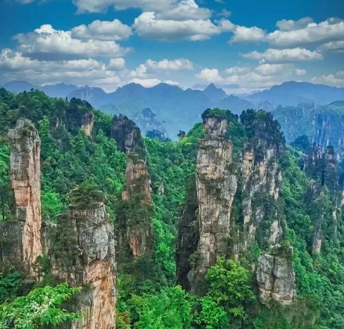 Trương Gia Giới